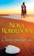 V�ce informac� o v�robku Ostrovy spln�n�ch sn�